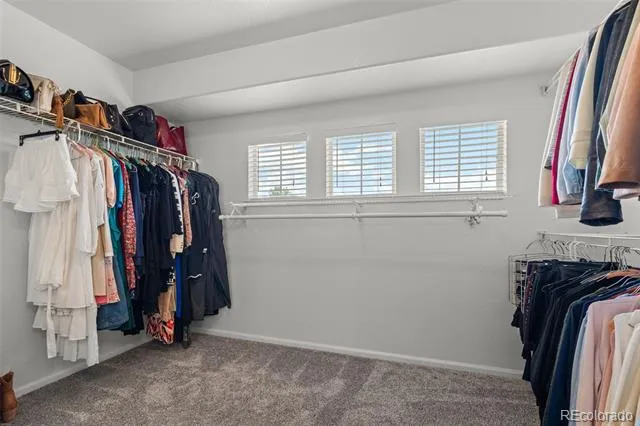4160 Black Feather Trail Castle Rock, CO 80104