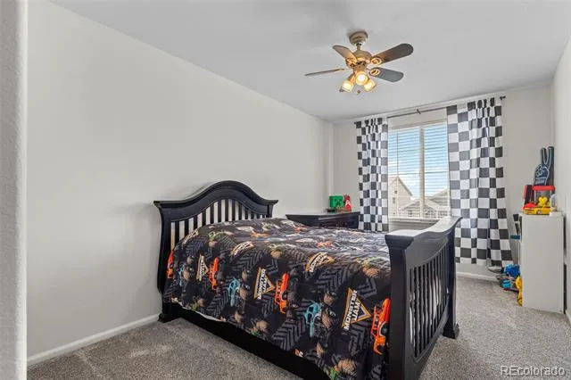 4160 Black Feather Trail Castle Rock, CO 80104