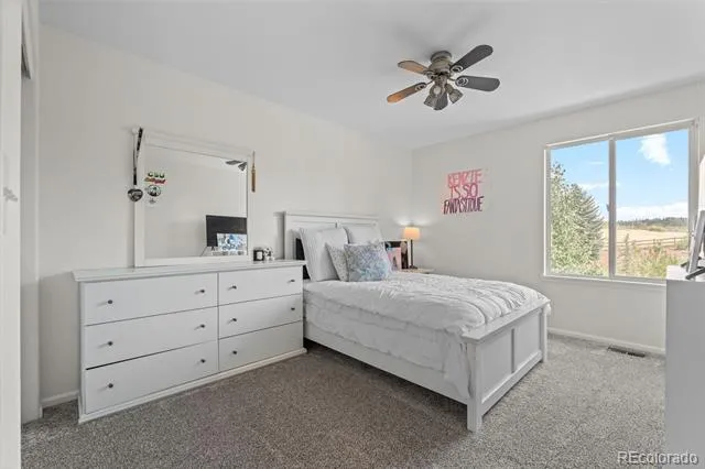 4160 Black Feather Trail Castle Rock, CO 80104