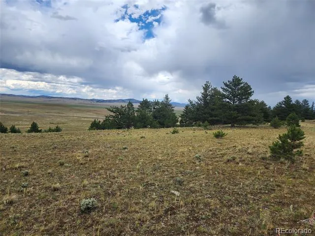 Address Not Shown Hartsel, CO 80449