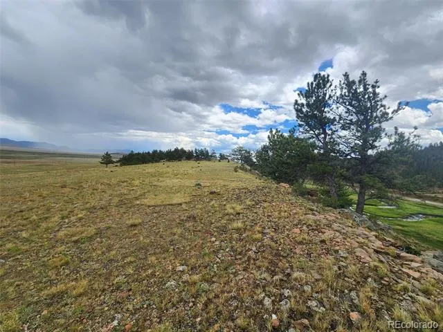 Address Not Shown Hartsel, CO 80449