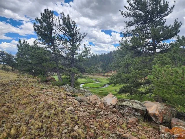 Address Not Shown Hartsel, CO 80449