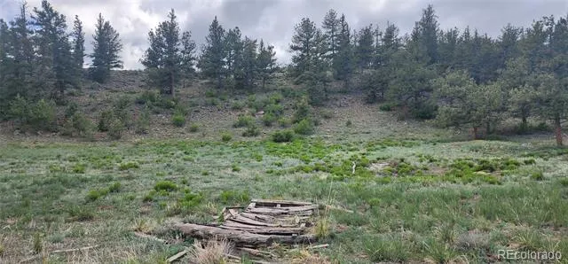 Address Not Shown Hartsel, CO 80449