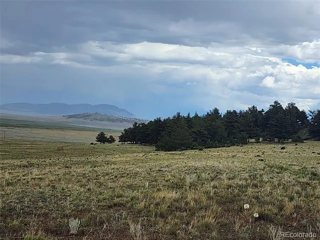 Address Not Shown Hartsel, CO 80449
