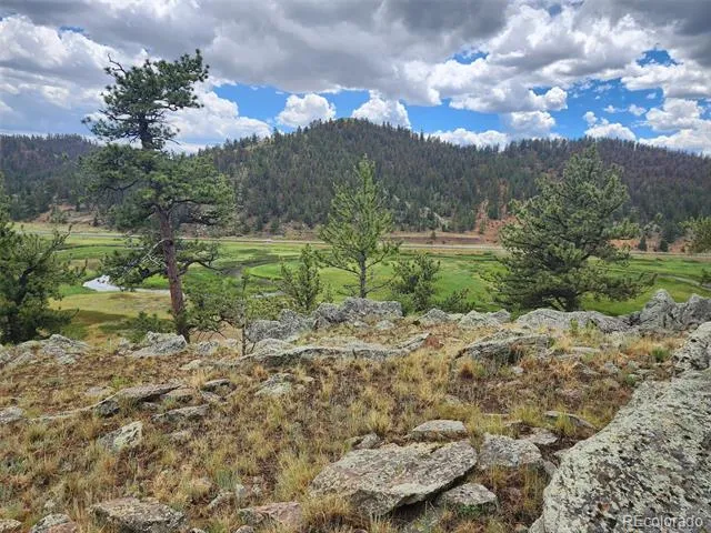 Address Not Shown Hartsel, CO 80449