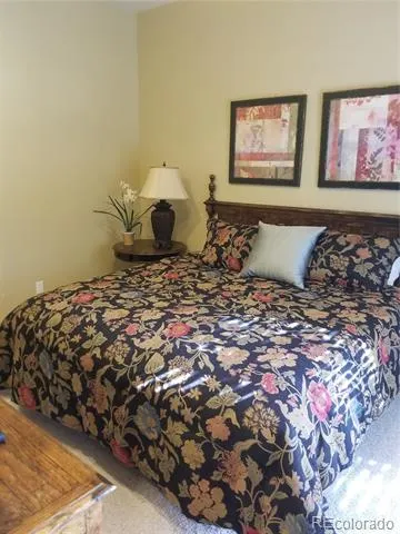 10 Shotgun Circle Edwards, CO 81632