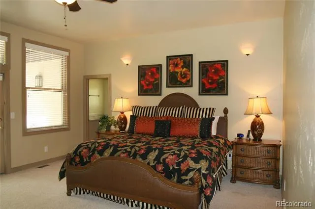 10 Shotgun Circle Edwards, CO 81632