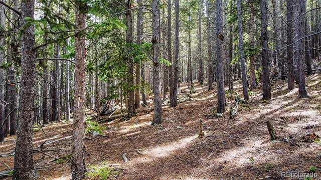 000 Sawmill Lane Idaho Springs, CO 80452