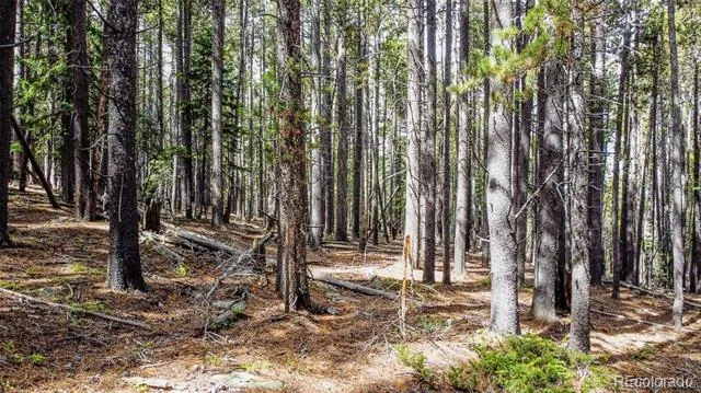 000 Sawmill Lane Idaho Springs, CO 80452