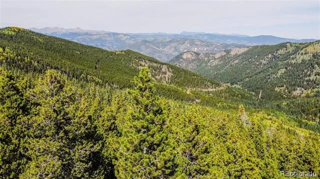 000 Sawmill Lane Idaho Springs, CO 80452