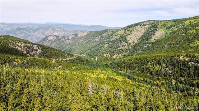 000 Sawmill Lane Idaho Springs, CO 80452