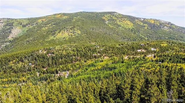 000 Sawmill Lane Idaho Springs, CO 80452