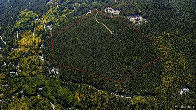 000 Sawmill Lane Idaho Springs, CO 80452