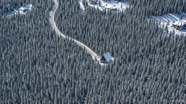 000 Sawmill Lane Idaho Springs, CO 80452