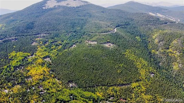 000 Sawmill Lane Idaho Springs, CO 80452