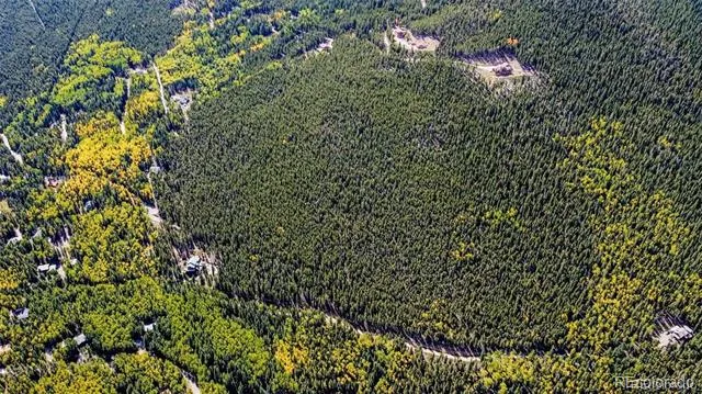 000 Sawmill Lane Idaho Springs, CO 80452