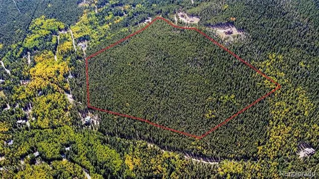 000 Sawmill Lane Idaho Springs, CO 80452
