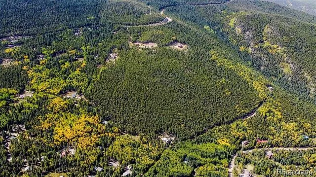 000 Sawmill Lane Idaho Springs, CO 80452
