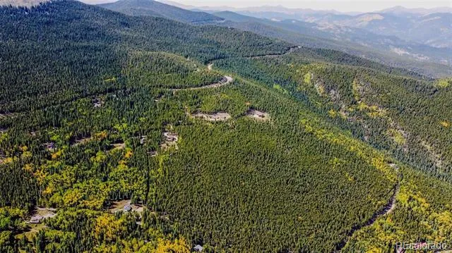 000 Sawmill Lane Idaho Springs, CO 80452