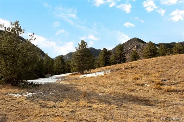  Empire, CO 80438