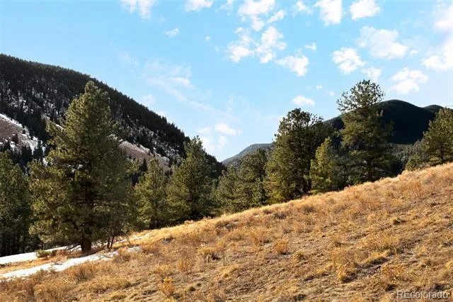  Empire, CO 80438