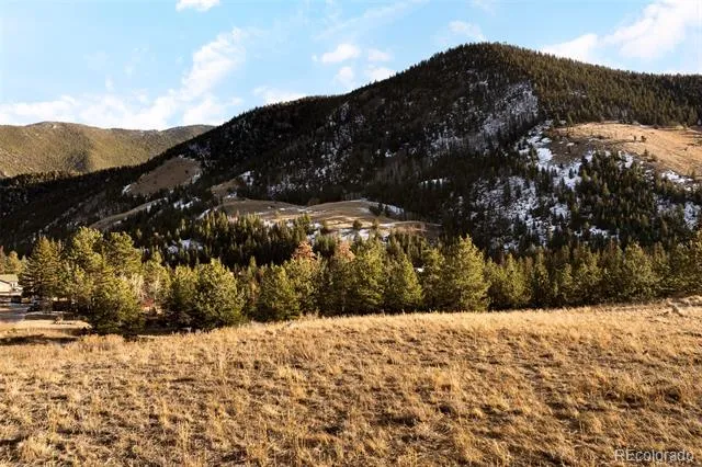  Empire, CO 80438