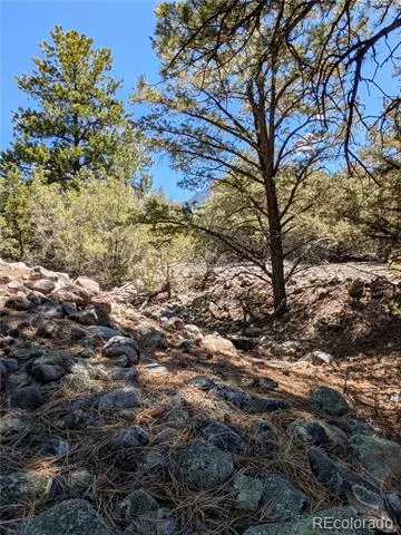 1681 Camino Real Crestone, CO 81131