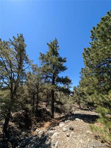 1681 Camino Real Crestone, CO 81131