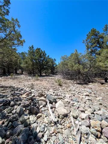 1681 Camino Real Crestone, CO 81131