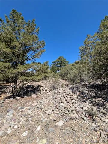 1681 Camino Real Crestone, CO 81131
