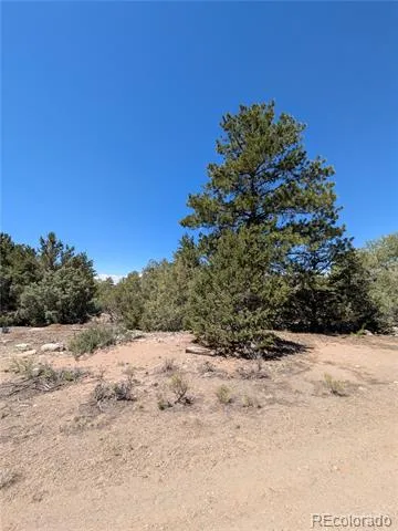 1681 Camino Real Crestone, CO 81131