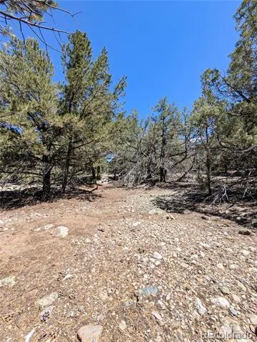 1681 Camino Real Crestone, CO 81131