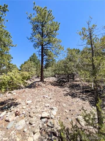 1681 Camino Real Crestone, CO 81131