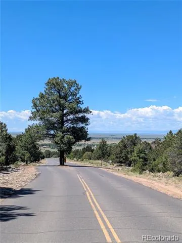 1681 Camino Real Crestone, CO 81131