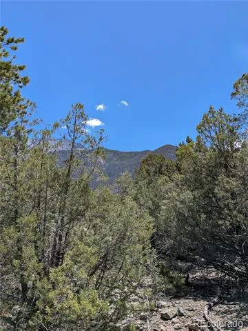 1681 Camino Real Crestone, CO 81131