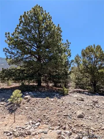 1681 Camino Real Crestone, CO 81131