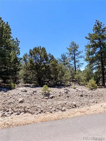 1681 Camino Real Crestone, CO 81131