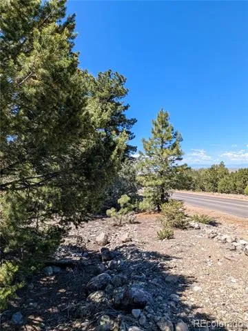 1681 Camino Real Crestone, CO 81131