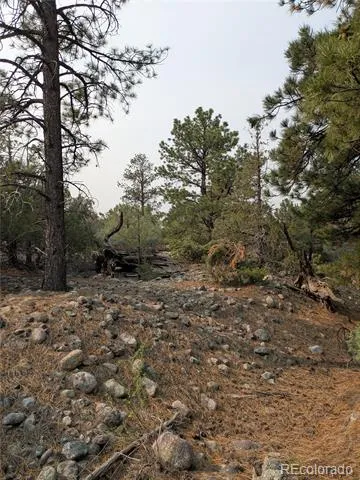 1681 Camino Real Crestone, CO 81131