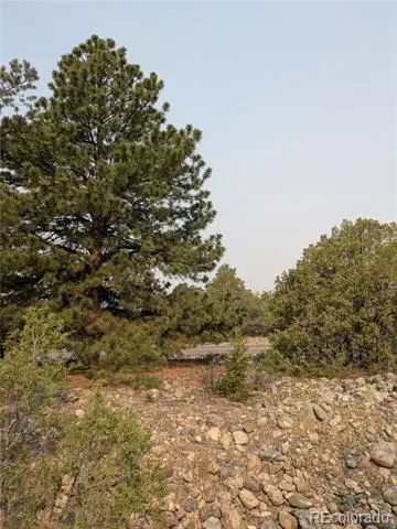 1681 Camino Real Crestone, CO 81131