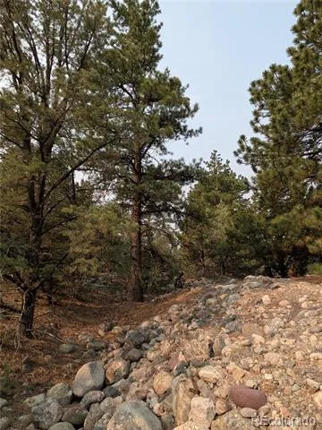 1681 Camino Real Crestone, CO 81131