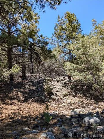 1681 Camino Real Crestone, CO 81131