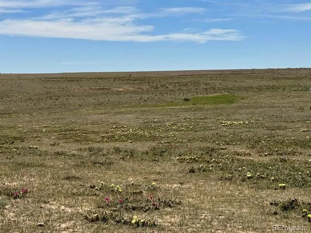 40495 Hoot Owl Road Road Ramah, CO 80832