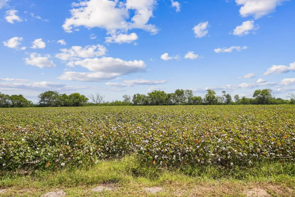 8433 Fairchild Road Richmond, TX 77469