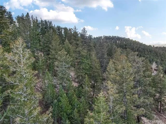 000 Upper Moss Rock Road Golden, CO 80401