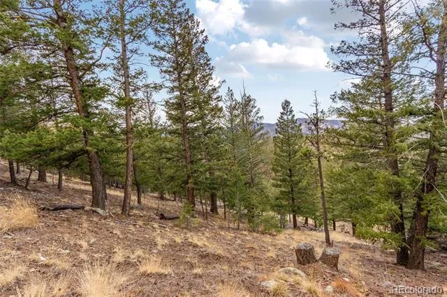 000 Upper Moss Rock Road Golden, CO 80401