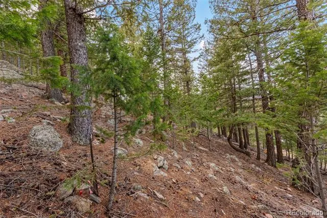 000 Upper Moss Rock Road Golden, CO 80401
