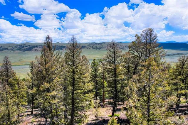 Lot 262 Middle Fork Vista Fairplay, CO 80440