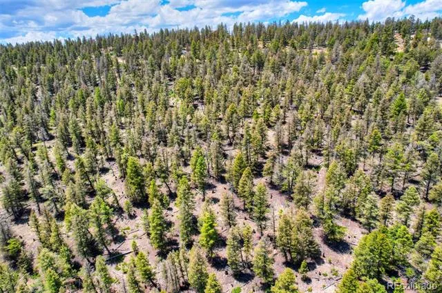 Lot 262 Middle Fork Vista Fairplay, CO 80440
