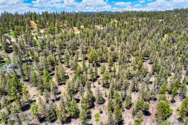 Lot 262 Middle Fork Vista Fairplay, CO 80440
